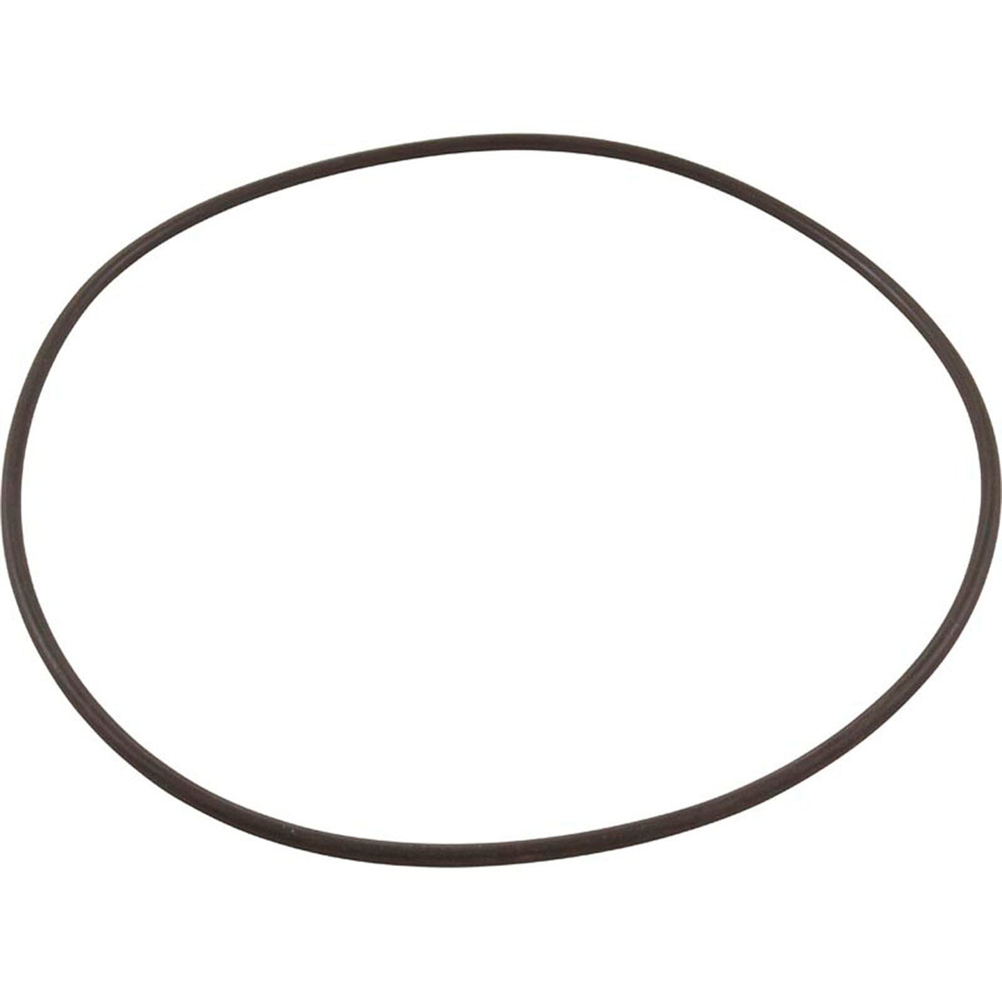 O-Ring, Waterco Micron TM Thermoplastic, Valve to Tank, OEM