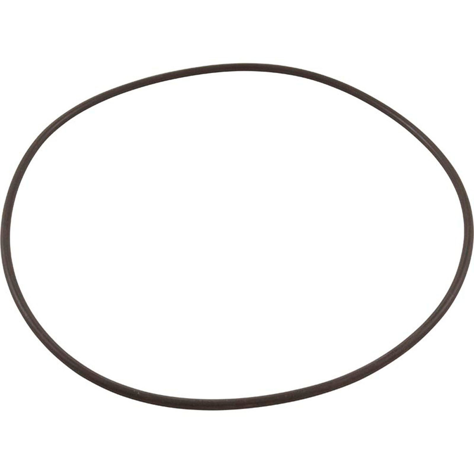 O-Ring, Waterco Micron TM Thermoplastic, Valve to Tank, OEM