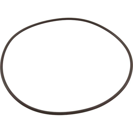 Joint torique, thermoplastique Waterco Micron TM, vanne vers réservoir, OEM