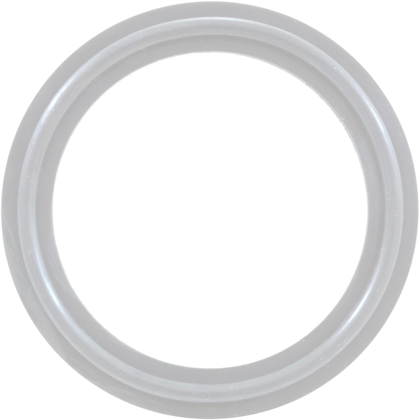 O-Ring/Gasket, Waterway 2", Heater