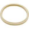 Aladdin O-170 Lens Gasket for Pentair Amerlite, Replaces 79101600