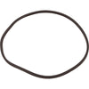 Square Ring, 8-3/4" ID, 1/4" Cross Section, O-505, Generic