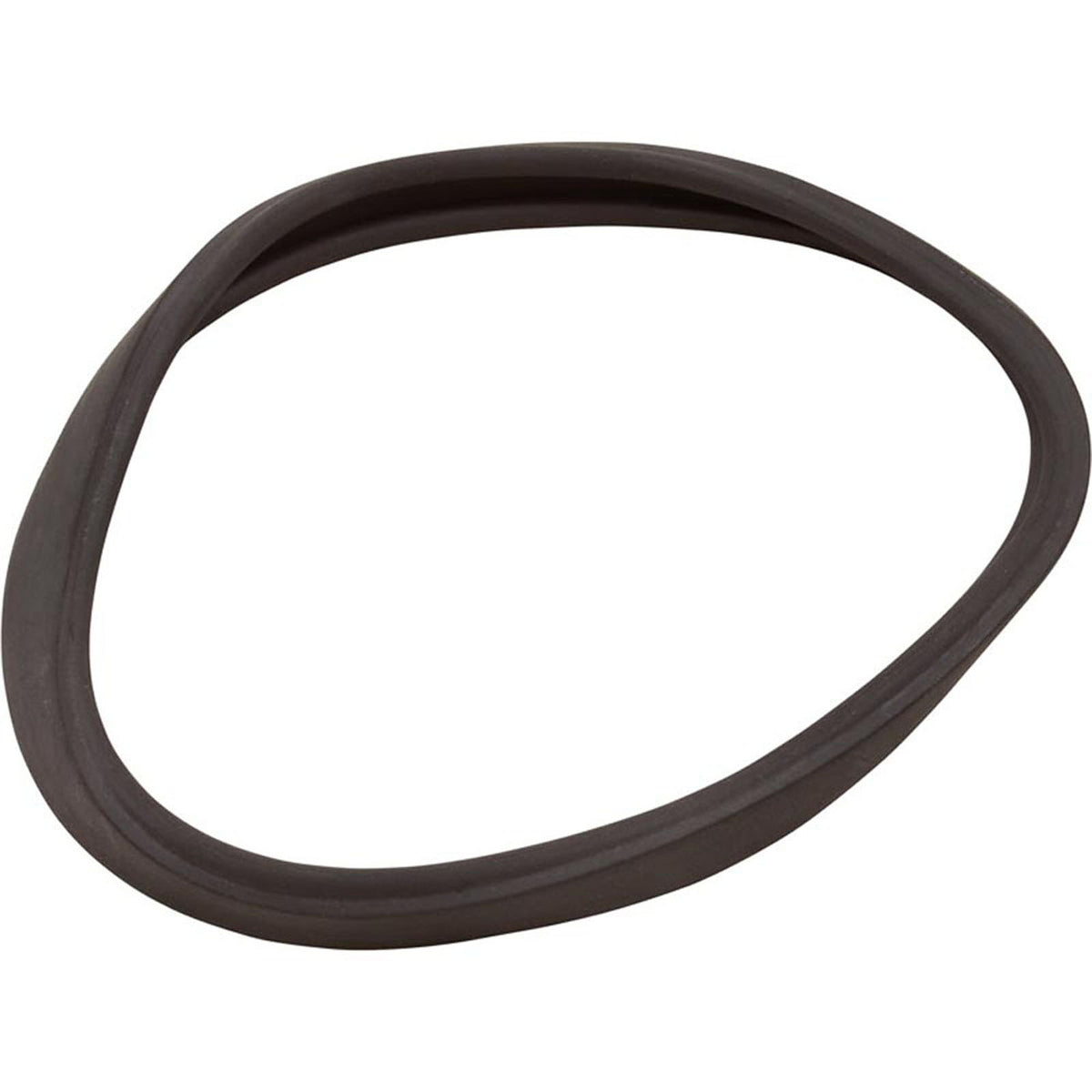 Gasket, Anthony Pool Light, Lens, Generic