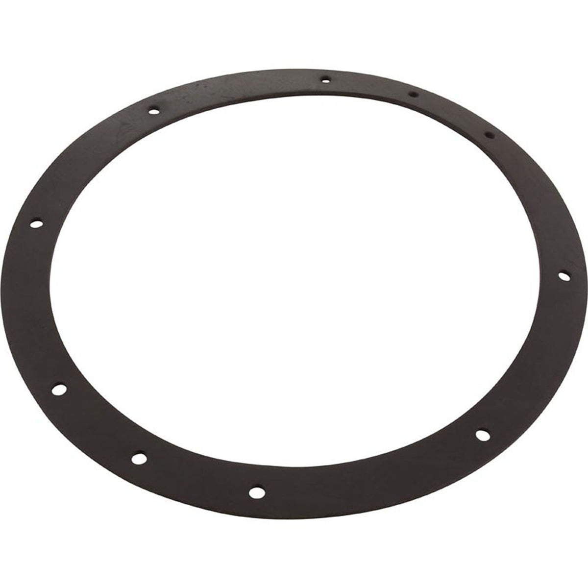 Gasket, Sta Rite, Vinyl Liner, Light Niche, Generic