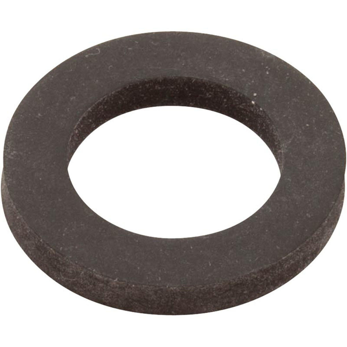 Gasket, Hayward, 2" Side Mount, Sight Glass, G-160