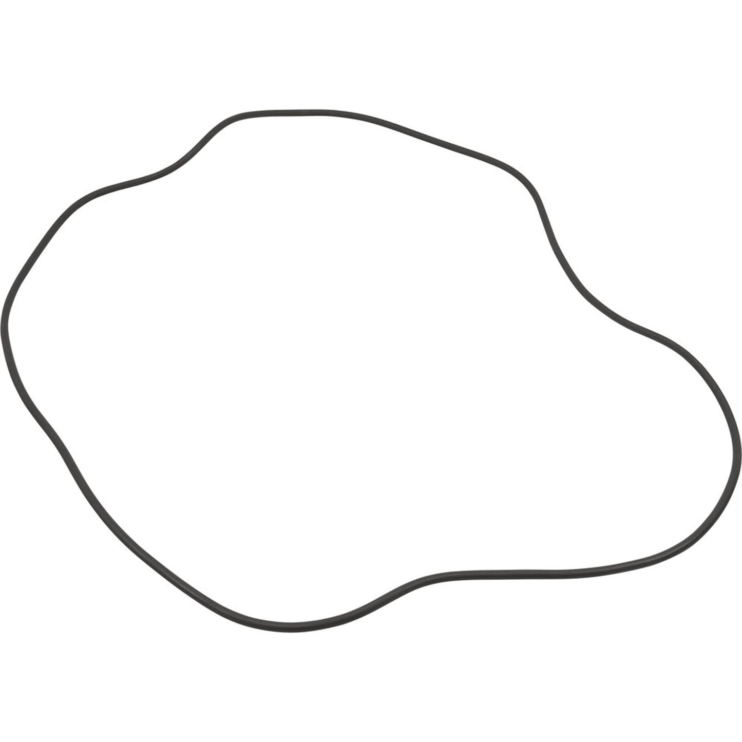 O-Ring, Sta-Rite HRP24, Tank Body, Generic