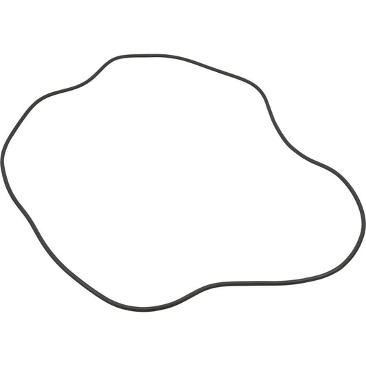 O-Ring, Sta-Rite HRP24, Tank Body, Generic
