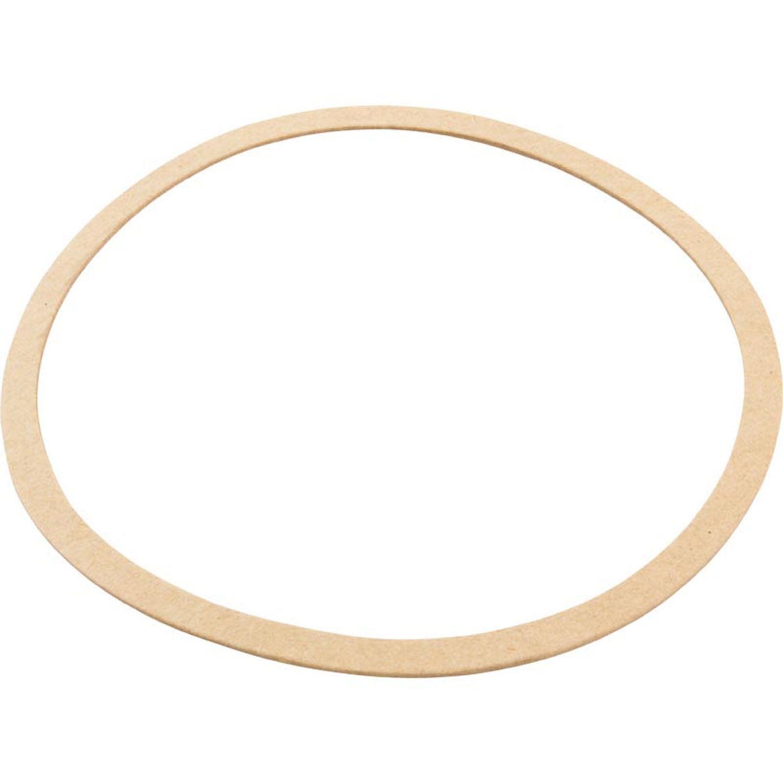 Gasket, Sta-Rite CK Pump, Seal Plate, Generic