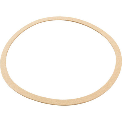 Gasket, Sta-Rite CK Pump, Seal Plate, Generic