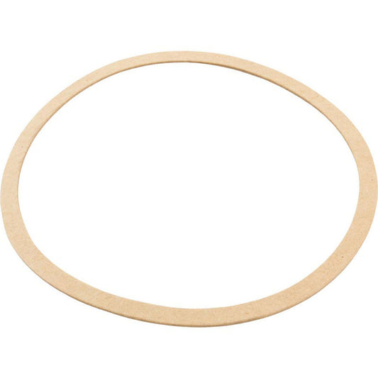 Gasket, Sta-Rite CK Pump, Seal Plate, Generic