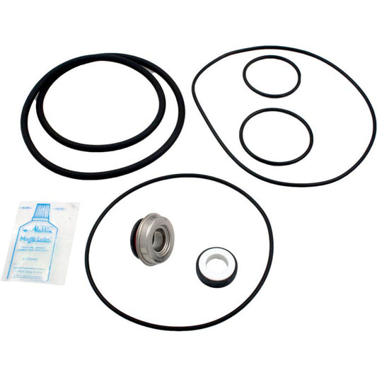 Go-Kit 36, Aqua Flo Dominator/C Series Pump, Pre-`95