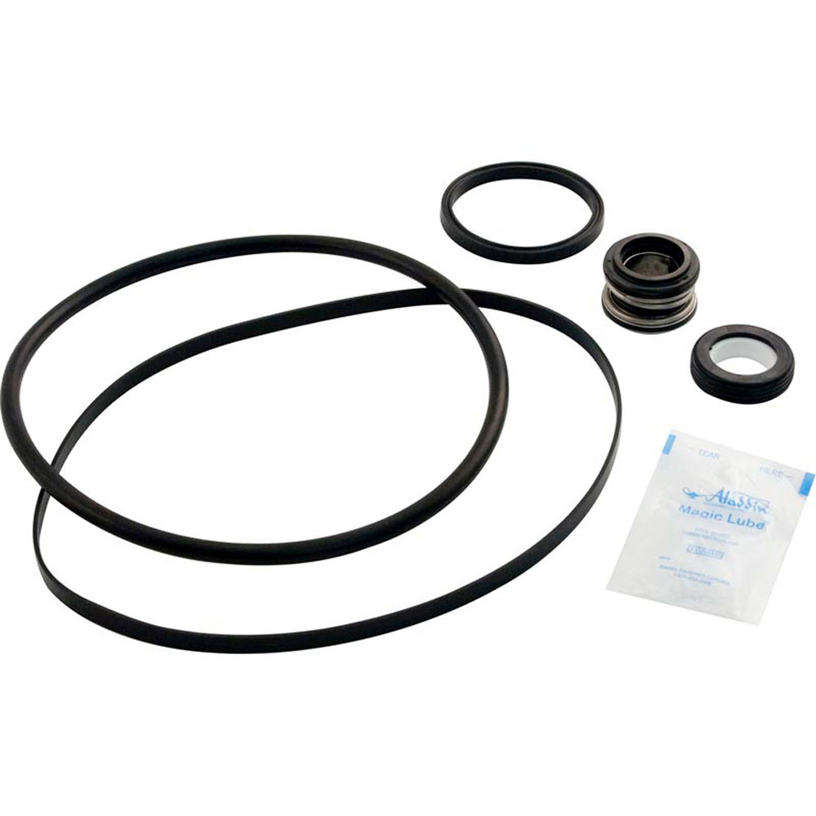 Go-Kit 2, Hayward Super II Pump, 3000-300X Series