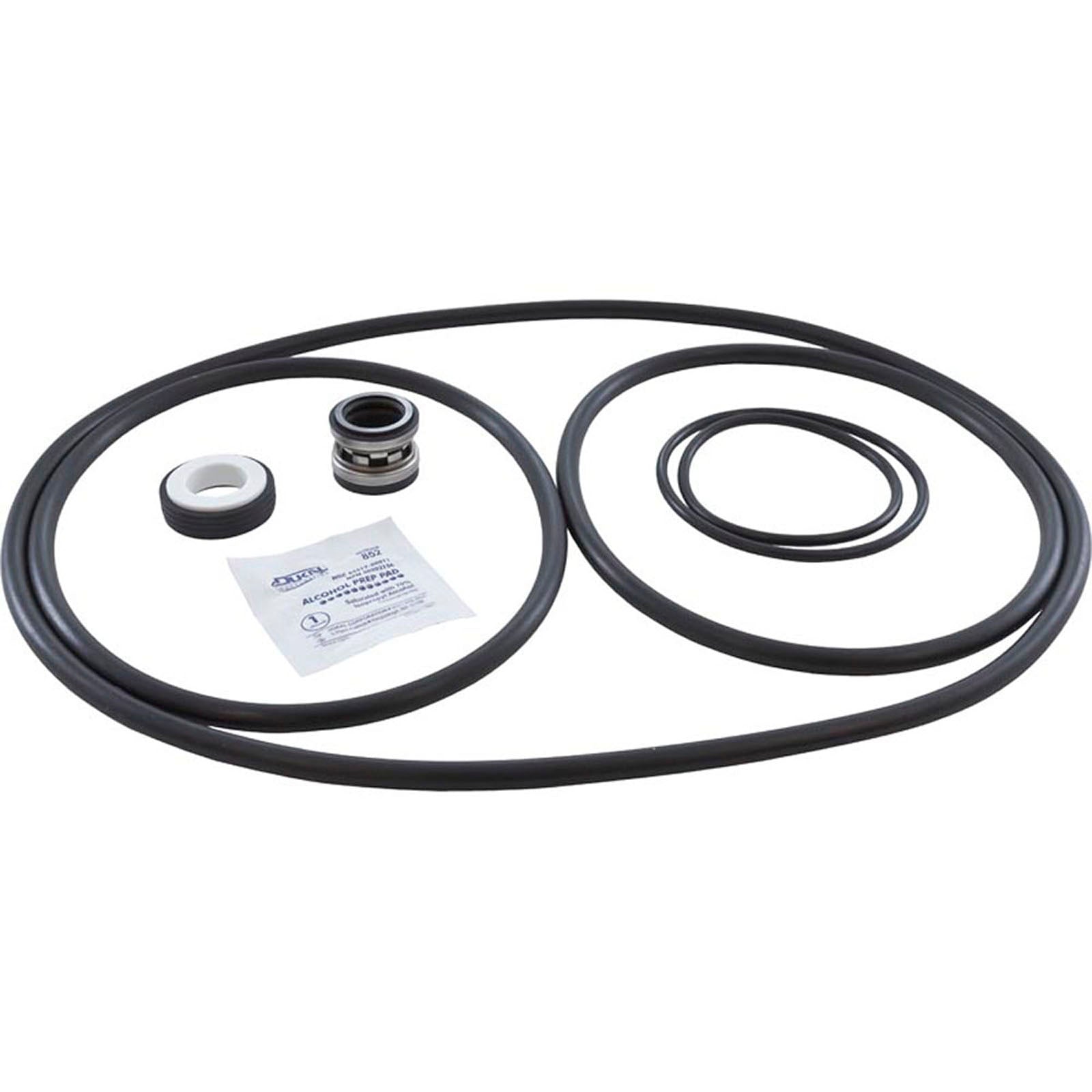 Pump Rebuild Kit, Pentair/PacFab Challenger, with Viton Seal
