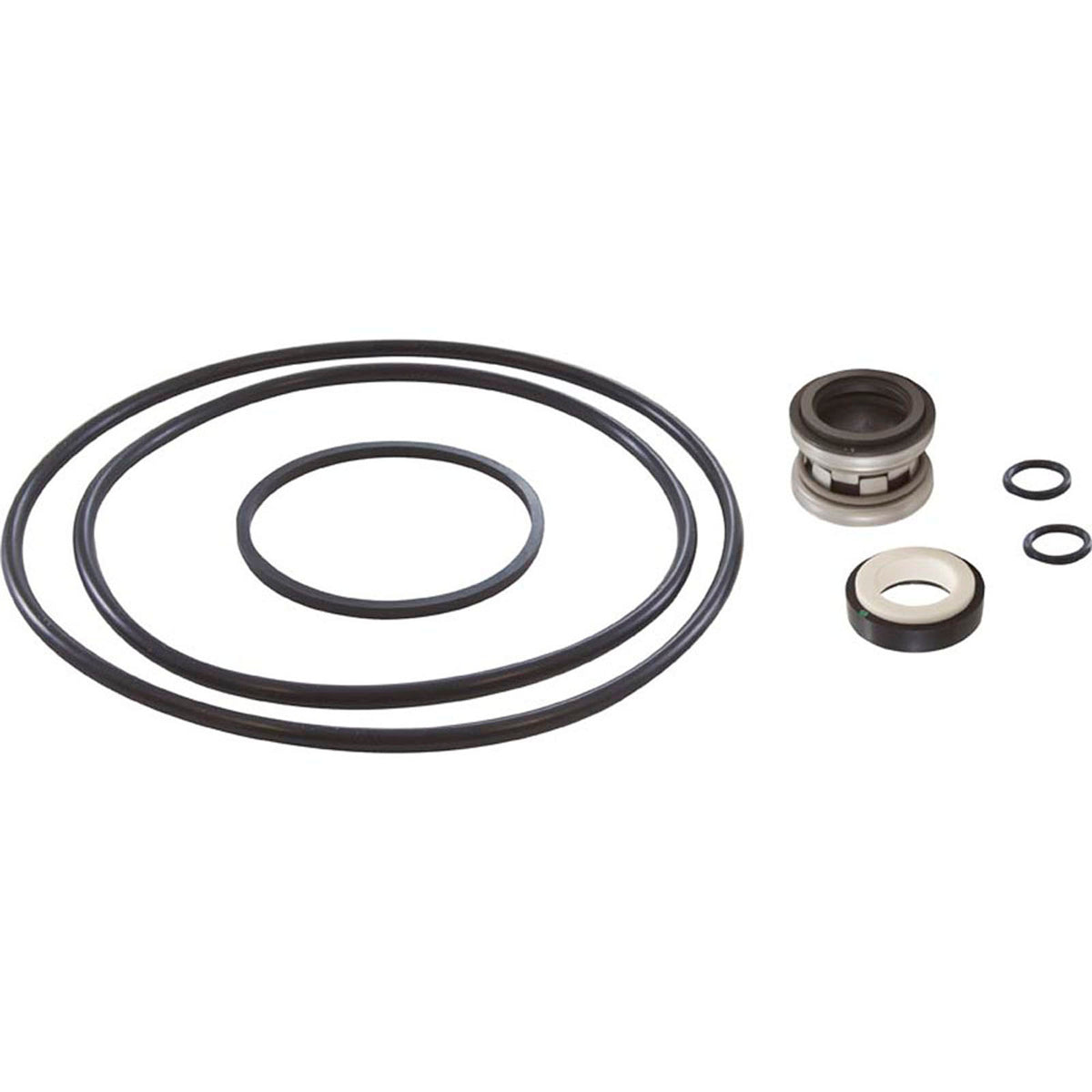 Pump Rebuild Kit, Jacuzzi Magnum, with Viton Shaft Seal