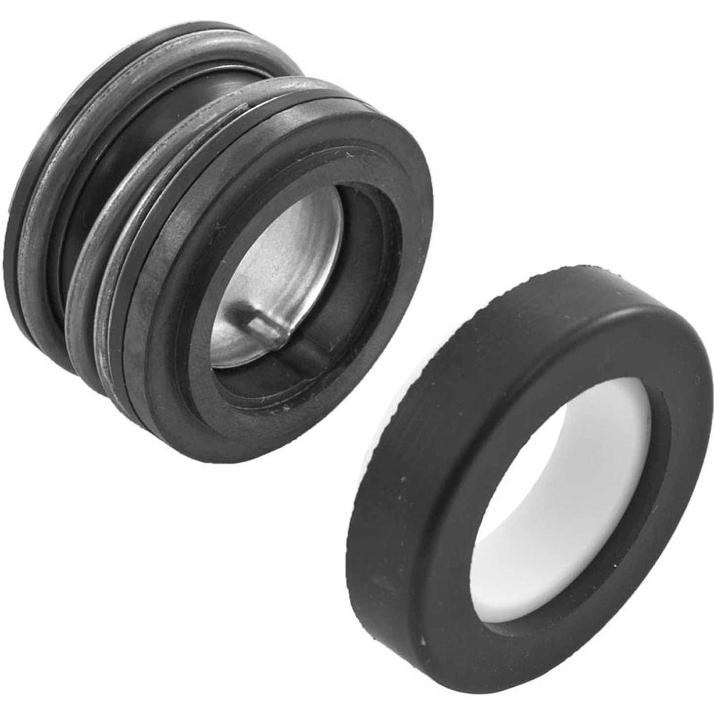 Pump Rebuild Kit, StaRite DuraGlasII/MaxiGlasII, w/Viton Seal