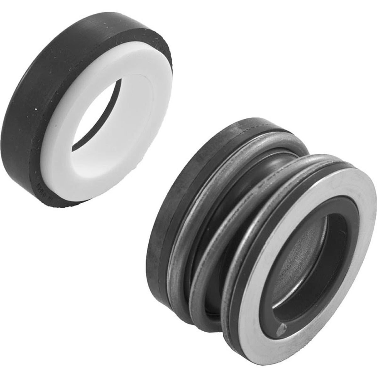 Pump Rebuild Kit, StaRite DuraGlasII/MaxiGlasII, w/Viton Seal
