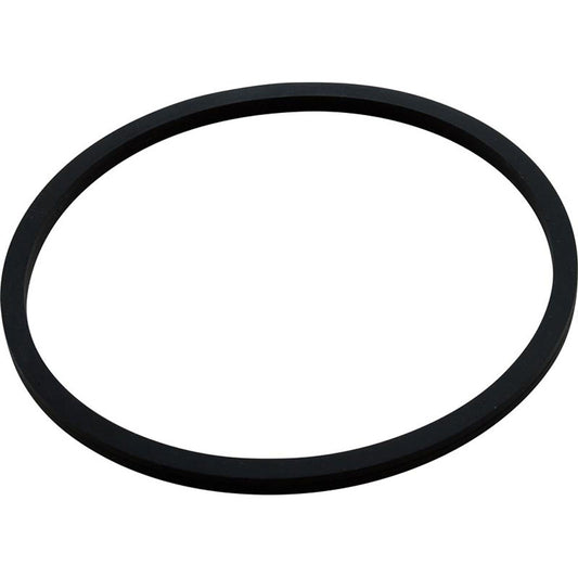 Gasket, Trap Lid, StaRite, JS/LT Replacement, Generic
