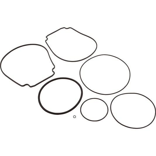 Pump O-Ring Kit, Generic WhisperFlo/IntelliFlo
