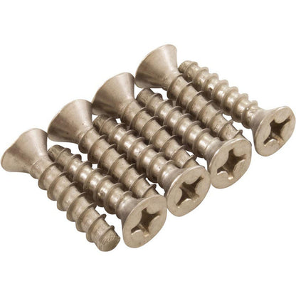 Screw Kit, Hayward, Main Drain Frame, Quantity 8, Generic