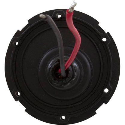 Body Basement Kit, Nemo Power Tools, V2-DD, BY, PD