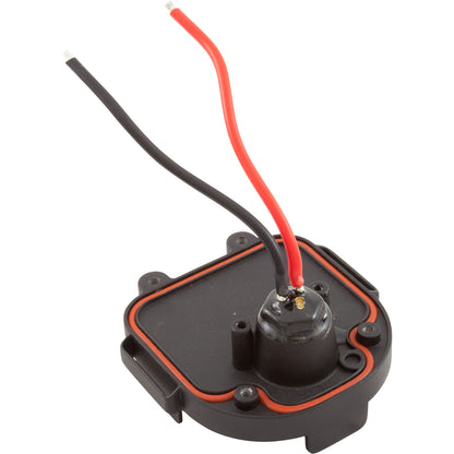 Basement, Nemo Power Tools, Rotary Hammer