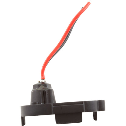 Basement, Nemo Power Tools, Rotary Hammer