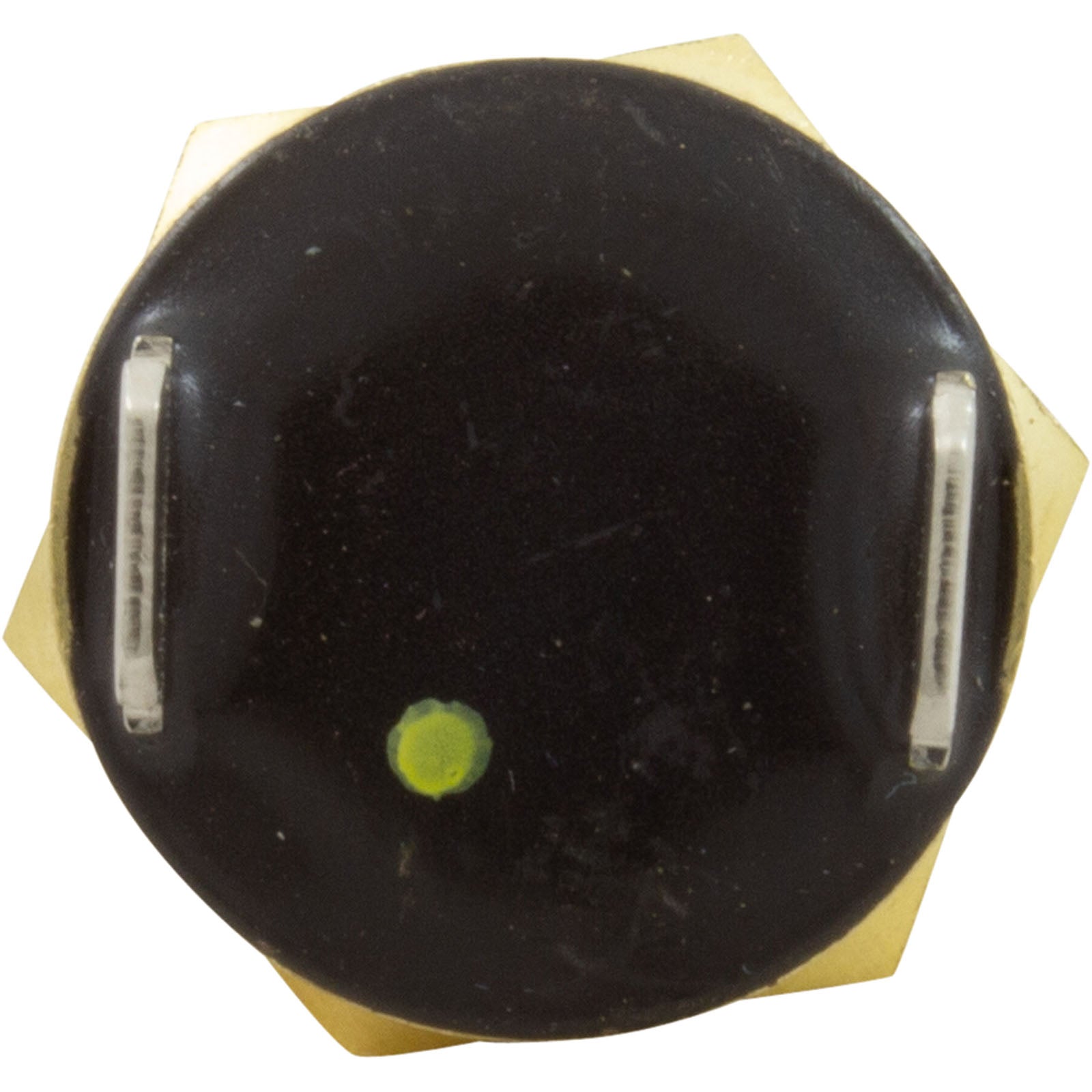 Automatic Gas Shutoff Switch, Pentair MasterTemp 125