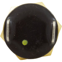 Automatic Gas Shutoff Switch, Pentair MasterTemp 125