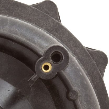 Wet End, WW Executive 5.0hp 2"mbt 48fr