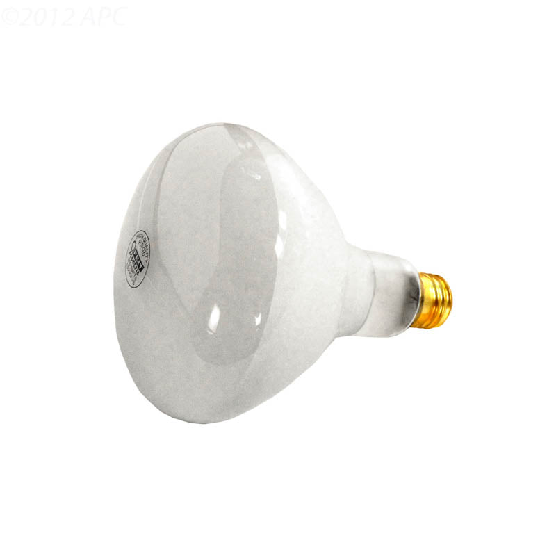 APC 500W 120V R40 Flood Pool Light Bulb, Medium Base (APC120500M)