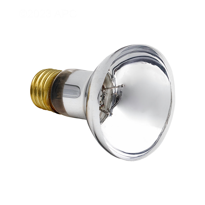 APC 100W 12V R20 Spa Light Bulb, Medium Base (APC12100M3)
