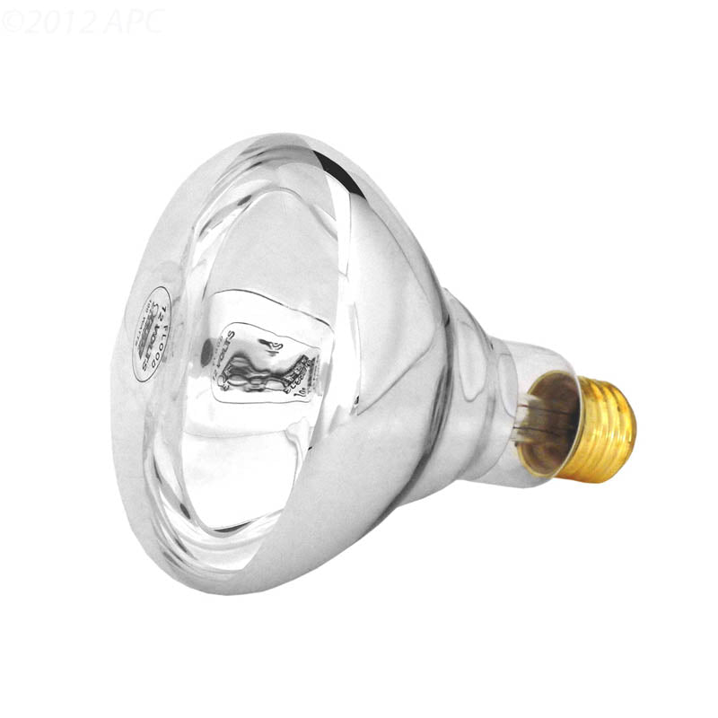 APC 100W 12V R30 Flood Pool Light Bulb, Medium Base (APC12100M5)