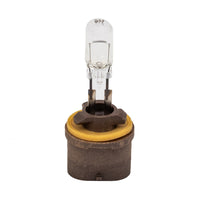 APC 25W 12V Halogen Spa Light Bulb, 884 Mini Prong (APC1225MP)