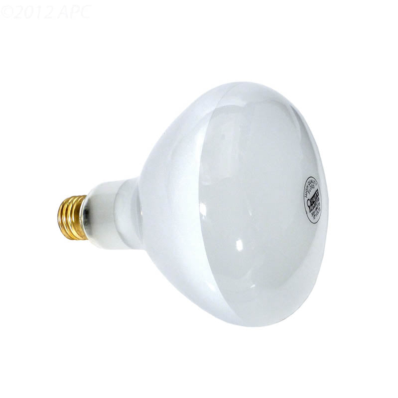 APC 300W 12V R40 Flood Pool Light Bulb, Medium Base (APC12300M)