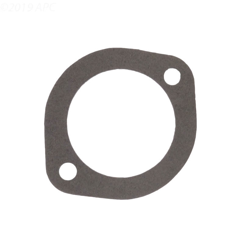 Aladdin G-70 L Series Pump Gasket for Pentair Purex, Replaces P-10725 (APCG3399)