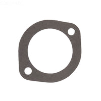 Aladdin G-70 L Series Pump Gasket for Pentair Purex, Replaces P-10725 (APCG3399)