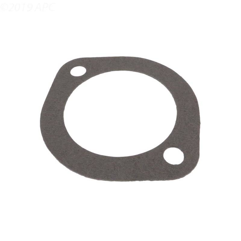 Aladdin G-70 L Series Pump Gasket for Pentair Purex, Replaces P-10725 (APCG3399)