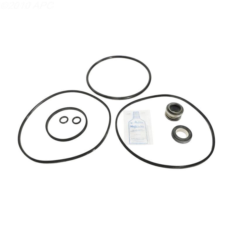Jacuzzi R / RC Series Pump Repair Kit (APCK1008)