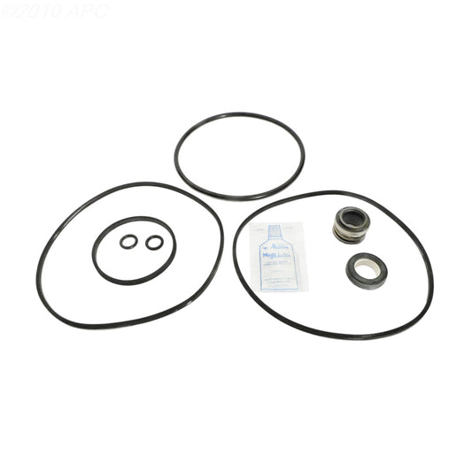Jacuzzi R / RC Series Pump Repair Kit (APCK1008)