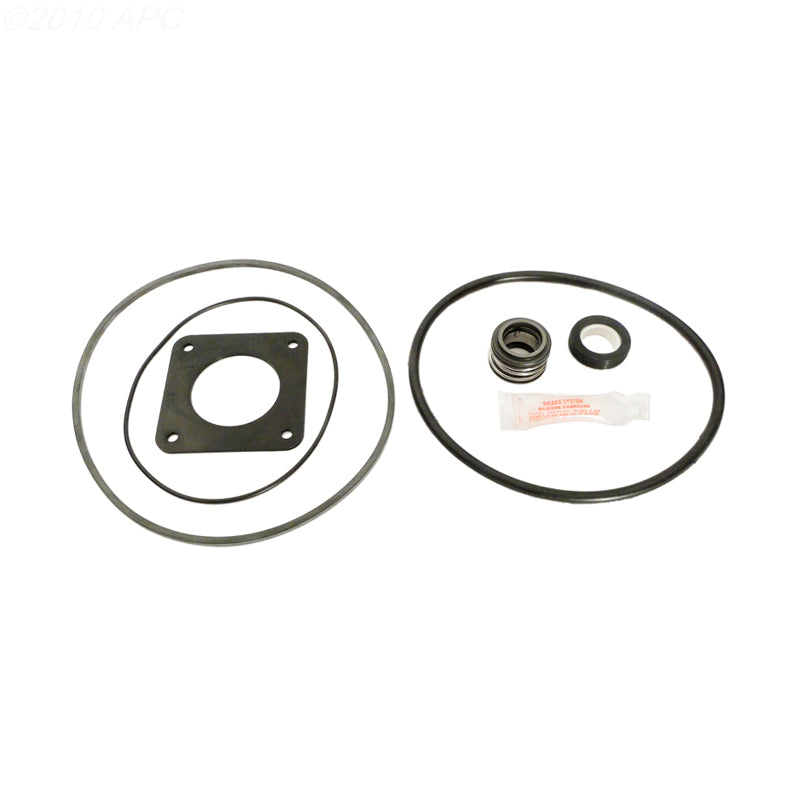 American Products Americana Pump Repair Kit (APCK1009)