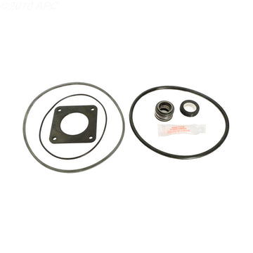 American Products Americana Pump Repair Kit (APCK1009)