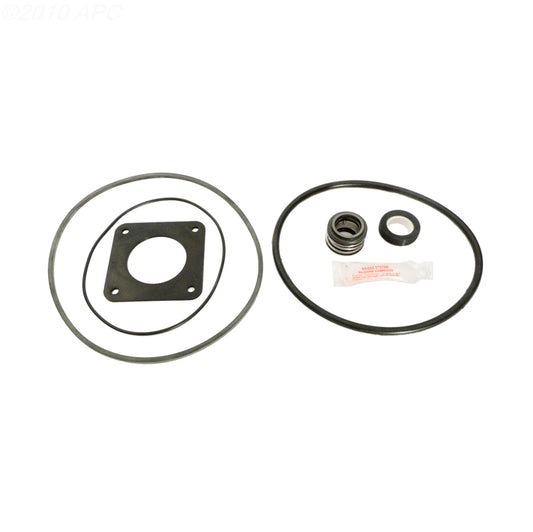 American Products Americana Pump Repair Kit (APCK1009)