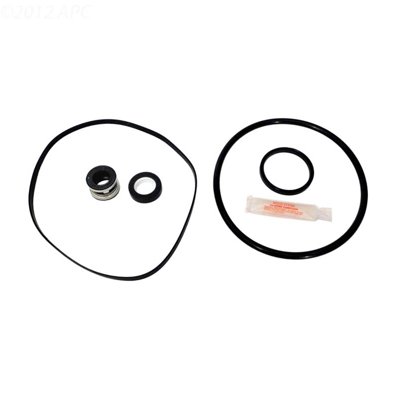 Hayward Super II Pump Repair Kit with Ozone-Resistant 3868 Seal (APCK1013A)