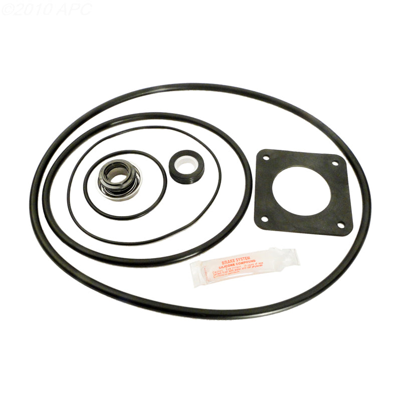 American Products Ultra-Flo Pump Repair Kit (APCK1014)
