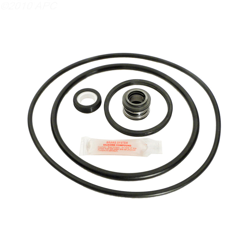 Pentair Pac-Fab Pinnacle Pump Repair Kit (APCK1018)