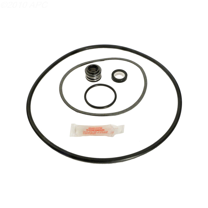 Pentair Pac-Fab PE / P2 Pump Repair Kit (APCK1019)