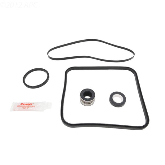 Hayward Super Pump Repair Kit with Ozone-Resistant 3868 Seal (APCK1024A)