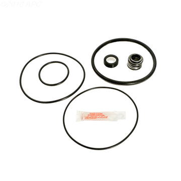 Aqua-Flo Flo-Master Pump Repair Kit (APCK1029)