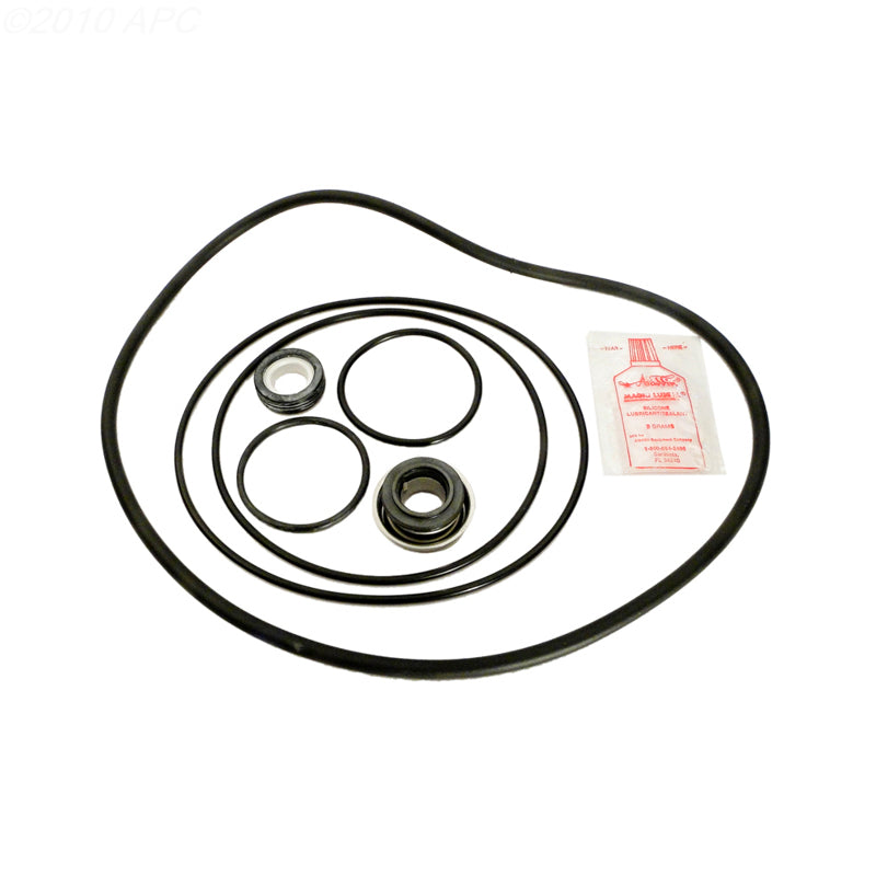 O-ring Repair Kit for Dominator C Series Pumps (APCK1031)