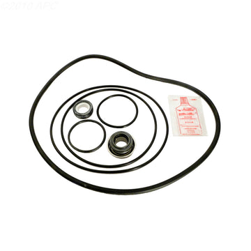 O-ring Repair Kit for Dominator C Series Pumps (APCK1031)